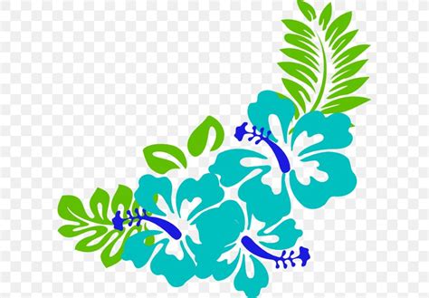 Hawaiian Hibiscus Clip Art, PNG, 600x570px, Hibiscus, Alyogyne Huegelii, Area, Blue, Branch ...