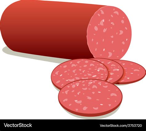 Salami Royalty Free Vector Image - VectorStock