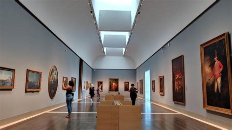 Houston’s Museum of Fine Arts becomes first major art museum in the U.S. to reopen amid the ...