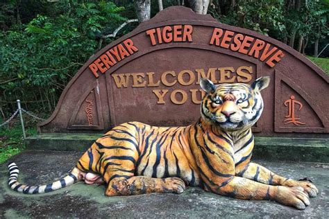 Periyar National Park, Thekkady, Kerala