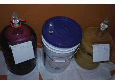 Homemade Wine Fermentation Rature - Homemade Ftempo