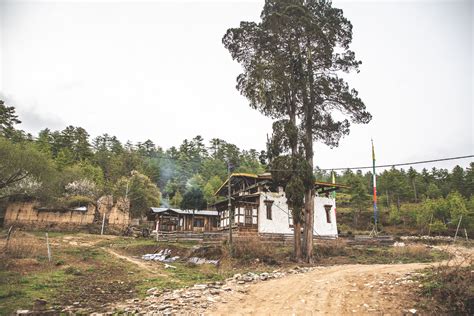 Six Senses Bhutan Paro Lodge — Luxury, sustainable travel blog — Journal of a Jetsetter Post ...