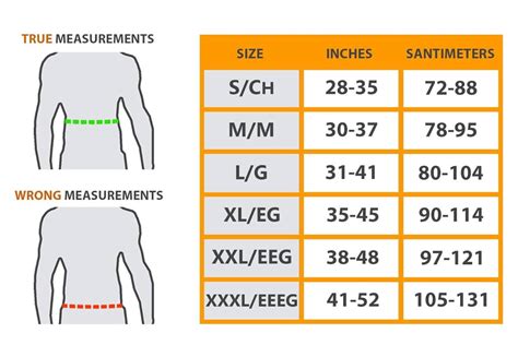 6 Best Weight Lifting Belts For Big Guys in 2024 – Torokhtiy Weightlifting