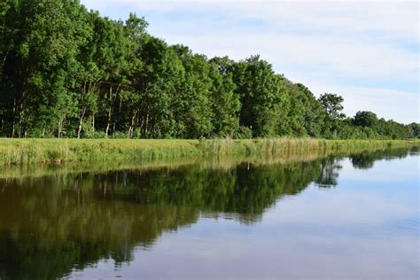 River Bank Near Manor Harvest Town - what makes a good fishing