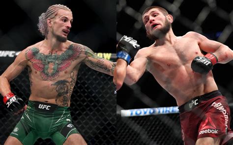 UFC news: Sean O'Malley jokes about beating Khabib Nurmagomedov in ...