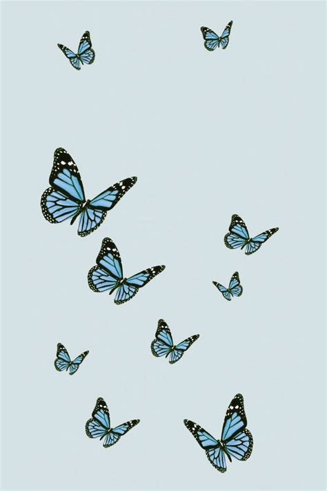 Discover 85+ blue butterfly aesthetic wallpaper - in.coedo.com.vn