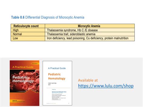 Differential Diagnosis of Microcytic Anemia | Download Scientific Diagram