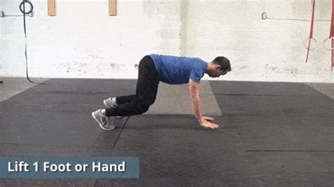 7 Awesome Bear Crawl Exercise Variations | Precision Movement