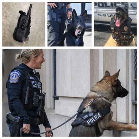 Police K9 Equipment-Quality manufacturer and supplier are here.