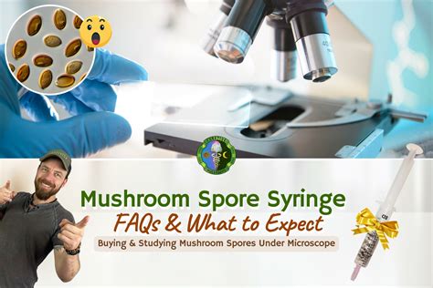 Mushroom Premium Quality Spores Syringe | FAQS