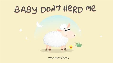 39 Sheep Puns That Will Make You Laugh Yourself Silly