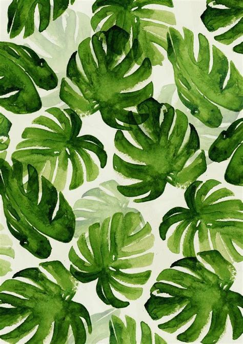 Картинки по запросу tumblr wallpapers green leaves | Tropical art print, Tropical art, Art prints