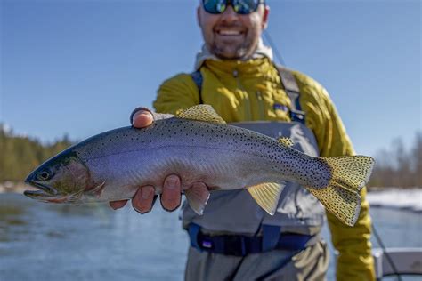 Fishing In Whitefish, MT | Montana Fishing Guides