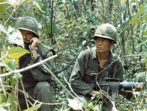 Vietnam History, Vietnam War Photos, Cavalry, Infantry, The Rok, Korean Military, North Vietnam ...