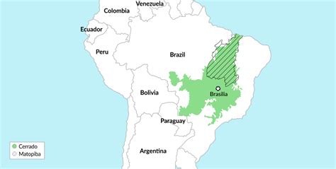 Farming giant Brazil is set for an agricultural boom – GIS Reports