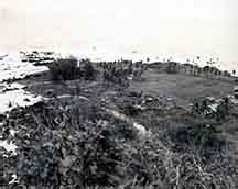 1946: Hawaii, Big Island | Pacific Tsunami Museum