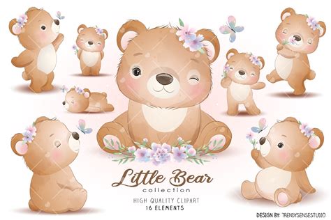 Little Bear Collection Clipart | Illustrations ~ Creative Market