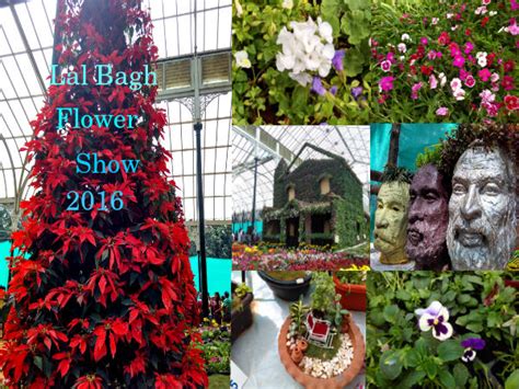 Lal Bagh Flower Show 2014 Photos - Nativeplanet