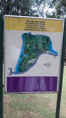 Peradeniya Royal Botanical Garden Map | Fasci Garden