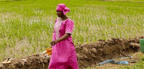 Mali: Food and Nutrition Enhancement #FeedAfrica | African Development ...