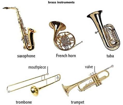 Learn English Vocabulary through Pictures: Musical Instruments | Brass ...