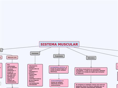 Sistema Muscular - Concept Map