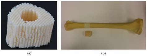 Mathematics | Free Full-Text | Size Effects in Finite Element Modelling of 3D Printed Bone ...