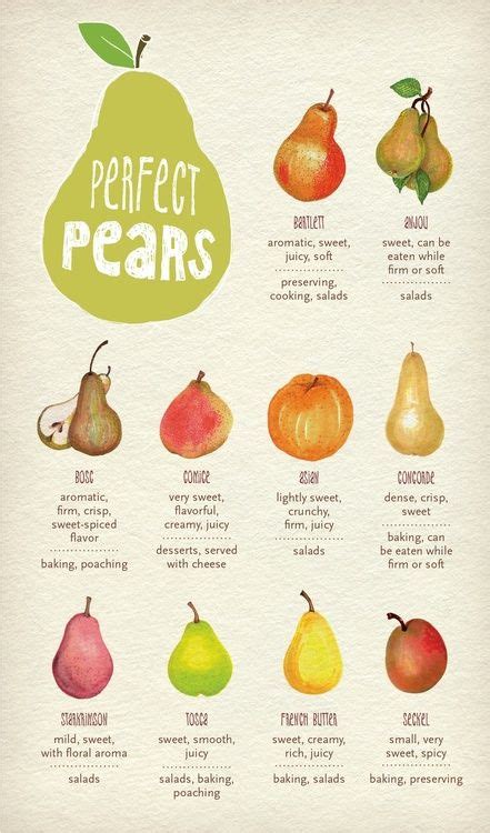 The different types of pears and the best uses for them! | Useful Tips && Tricks | Pinterest ...