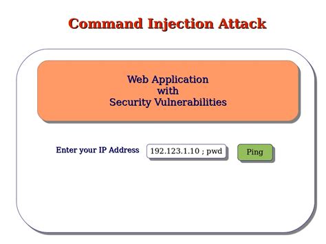 Computer Security and PGP: What is a Shell Injection or Command Injection Attack