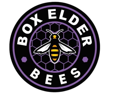 Box Elder - Team Home Box Elder Bees Sports