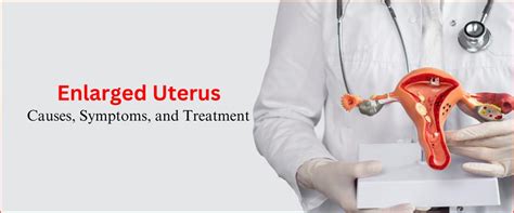 Enlarged Uterus: Causes , Symptoms and Treatment - Imprimis IVF