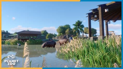 Hippo Habitat - Planet Zoo Franchise mode - YouTube