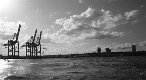 Hamburg Harbor Container Cranes - Free photo on Pixabay - Pixabay