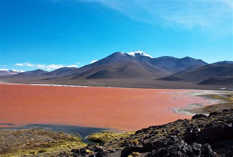 Laguna Colorada - Bolívia | Lugares Fantásticos