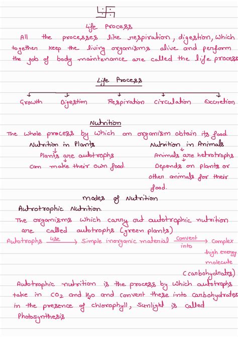 Life process class 10 notes - Studypur