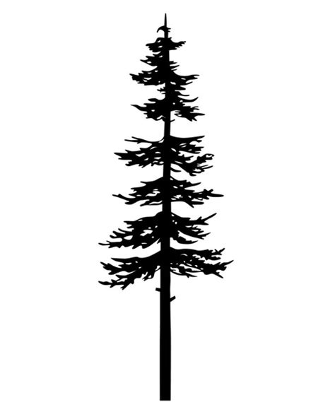 1,653 Black White Sketched Pine Needles Royalty-Free Images, Stock ...