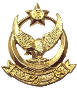 Cap Badge Punjab Regiment