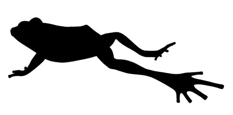 Toad Frog jumping contest Silhouette Clip art - frog png download - 1299*643 - Free Transparent ...