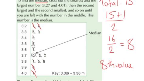 [DIAGRAM] Softwood Stem Diagram - MYDIAGRAM.ONLINE