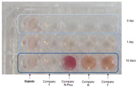 Cytotoxicity Assay Cytotoxicity LDH Assay Kit-WST DOJINDO