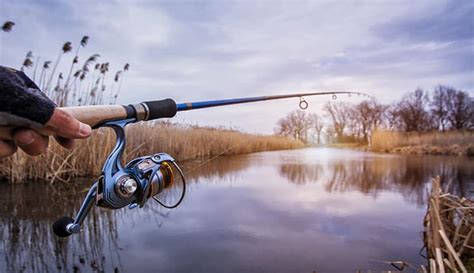 10 Best Jigging Rods In 2022 | Reviewed by Fishing Enthusiasts - Globo Surf