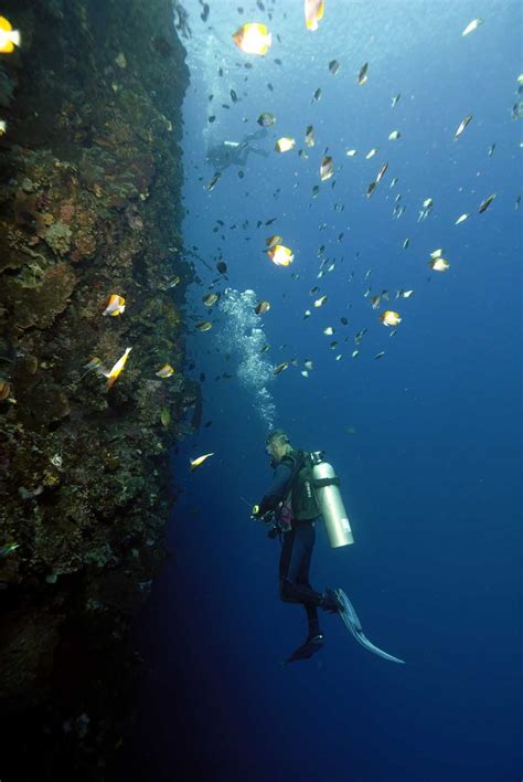 Diving Experience in Bunaken, Sulawesi ~ Indonesia Tour, Travel and Vacation Places