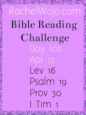 Bible Reading Challenge and Jewelry Giveaway - Rachel Wojo