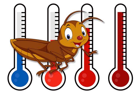 Can you really tell the temperature from cricket chirps? - FindersFree.com