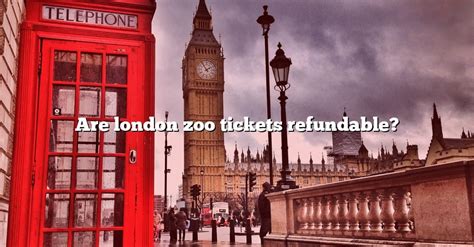 Are London Zoo Tickets Refundable? [The Right Answer] 2022 - TraveliZta