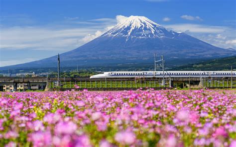 Japan Travel 101: Your First Trip in 2023 - GaijinPot