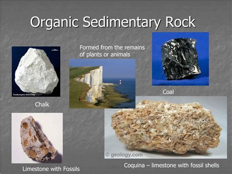 Organic Sedimentary Rocks Examples