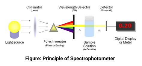 Colorimeter vs spectrophotometer: Which Is a Better Buy? – Conduct Science