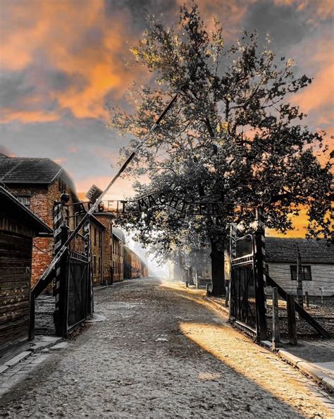 Auschwitz Memorial on Twitter: "Follow @AuschwitzMuseum Please RT (📷 ...