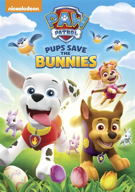 Best Buy: PAW Patrol: Pups Save the Bunnies [DVD]